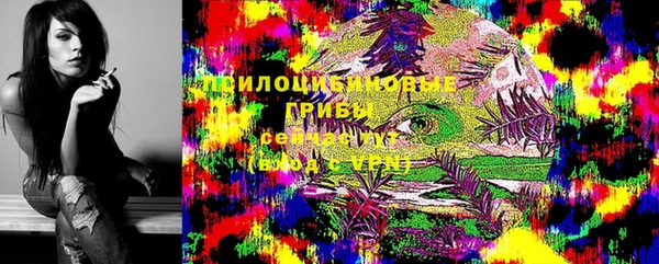 синтетический гашиш Алексин