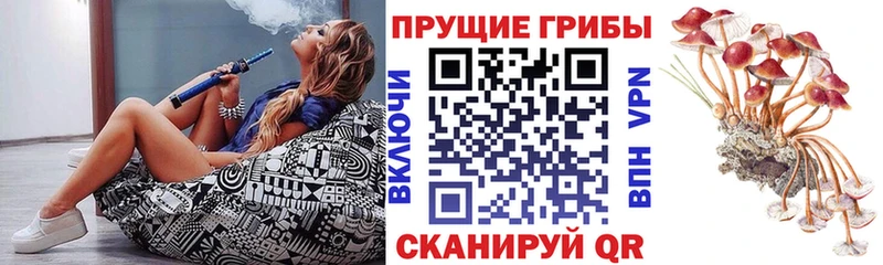 наркошоп  Иркутск  Галлюциногенные грибы мухоморы 